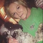 Dina Lansdale Kelley - @kelleydina Instagram Profile Photo