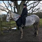 Kerry Davidson - @k.b_equestrian Instagram Profile Photo