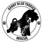 Kerry Blue Terrier Rescue - FB - @kerrybluerescue Instagram Profile Photo