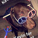 Kevin Mahoney - @kevinmahoney__ Instagram Profile Photo