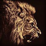 Jaikim Hartsfield - @hartsfieldjaikim Instagram Profile Photo