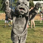 Kimberly Gillow - @northcreekelem Instagram Profile Photo