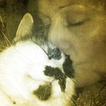 Kristie Harrison - @crazycatlady4001 Instagram Profile Photo