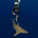 Kristopher Knox - @kk808fish Instagram Profile Photo