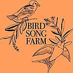 Krista Peyton - @bird.song_farm Instagram Profile Photo