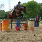 Kristina witte - @c.k.horses Instagram Profile Photo