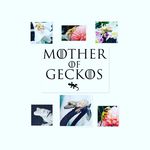 Lacey Maybee - @themotherofgeckos Instagram Profile Photo