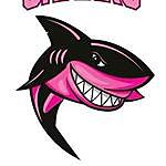 Pink Lady Sharks - @pinkladysharks_flagfootball Instagram Profile Photo