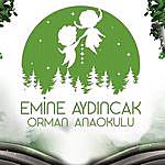 Emine Aydincak Orman Anaokulu | Malatya - @emineaydincakormananaokulu Instagram Profile Photo