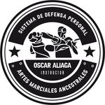 Sistema de Defensa Personal Ancestral - Instructor Oscar Aliaga - @defensapersonal.oscaraliaga Instagram Profile Photo