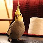 Larry Burb and Friends - @larryburb781 Instagram Profile Photo