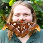 Bugsologist | Lauren Davidson - @bugsologist Instagram Profile Photo