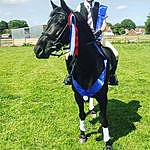 Leo Carroll - @ldc_equestrian_2018 Instagram Profile Photo