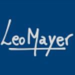 Leo Mayer - @leomayerarte Instagram Profile Photo