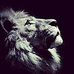 Leroy Orr - @azaryah_yasharala Instagram Profile Photo