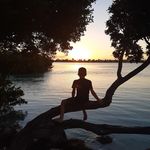 Lesley Fletcher - @bellesbhoys Instagram Profile Photo