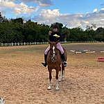 Lillian phillips - @equestrian_lillian Instagram Profile Photo