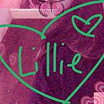Lillie Miller - @lillie.m1219 Instagram Profile Photo