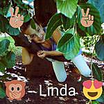 Linda Scholz - @linda.scholz Instagram Profile Photo