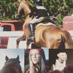 Lindsey The Horse Jumper - @horse_cute_editz_ Instagram Profile Photo