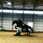 Lindsey Lewis - @horselover1800_barrelracer Instagram Profile Photo