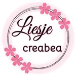 Lisa Belt - @liesje_creabea Instagram Profile Photo