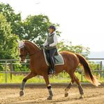 Lisa Maria Masser - @_rebenland.equestrian_ Instagram Profile Photo