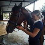 Lisa Pekel - @dunroamin.equestrian Instagram Profile Photo