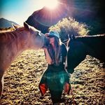 Lisa Rutledge - @lisarutledge Instagram Profile Photo