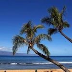 Kauai Lizzie McClain - @kauailizzie Instagram Profile Photo