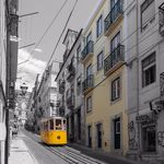 Lisbon Bica Suites - @bica_suites Instagram Profile Photo