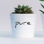 Louise phipps - @all_things_aloe_ Instagram Profile Photo
