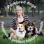 Loyce Balas - @hill_country_corgis Instagram Profile Photo