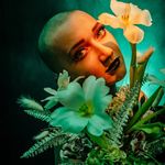 Molly Lucille (Fae) - @fae.floral Instagram Profile Photo