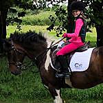 Lucy Hodge - @l.h_equestrian Instagram Profile Photo