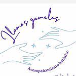 Llamas Gemelas Terapia Holisti - @llamasgemelasterapiaholistica Instagram Profile Photo