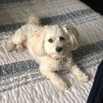 Mable Nelson - @mable.nelson Instagram Profile Photo
