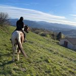 Asd aisha pony western - @asd.aishaponywestern Instagram Profile Photo