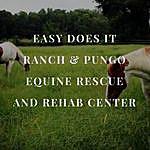 Malinda Scott - @easydoesitranch Instagram Profile Photo