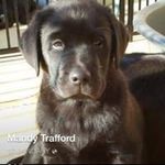 Mandy Trafford - @mandytrafford Instagram Profile Photo