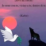 Marcello Donato - @donato.marcello Instagram Profile Photo