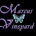 Marcus Vineyard - @marcusvineyard Instagram Profile Photo