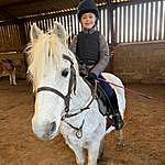 Darcy-Marie~Equestrian+Dancer - @darcy_equidancer Instagram Profile Photo