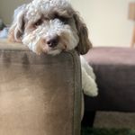Marilyn King - @doodleandquilts Instagram Profile Photo
