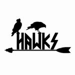 Art Hawks - Viking Store - @lojaarthawks Instagram Profile Photo