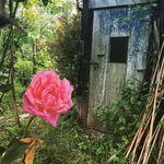 Dans Les Marais De Bourges - @danslesmarais Instagram Profile Photo