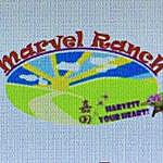 Marvel Ranch - @marvel_ranch_floral_and_art_ Instagram Profile Photo