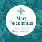 Mary Suculentas (Plantas) - @mary_suculentas Instagram Profile Photo