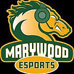 Marywood Esports - @marywoodesports Instagram Profile Photo