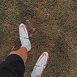 Matthew Hayden - @matthew_hayden4 Instagram Profile Photo